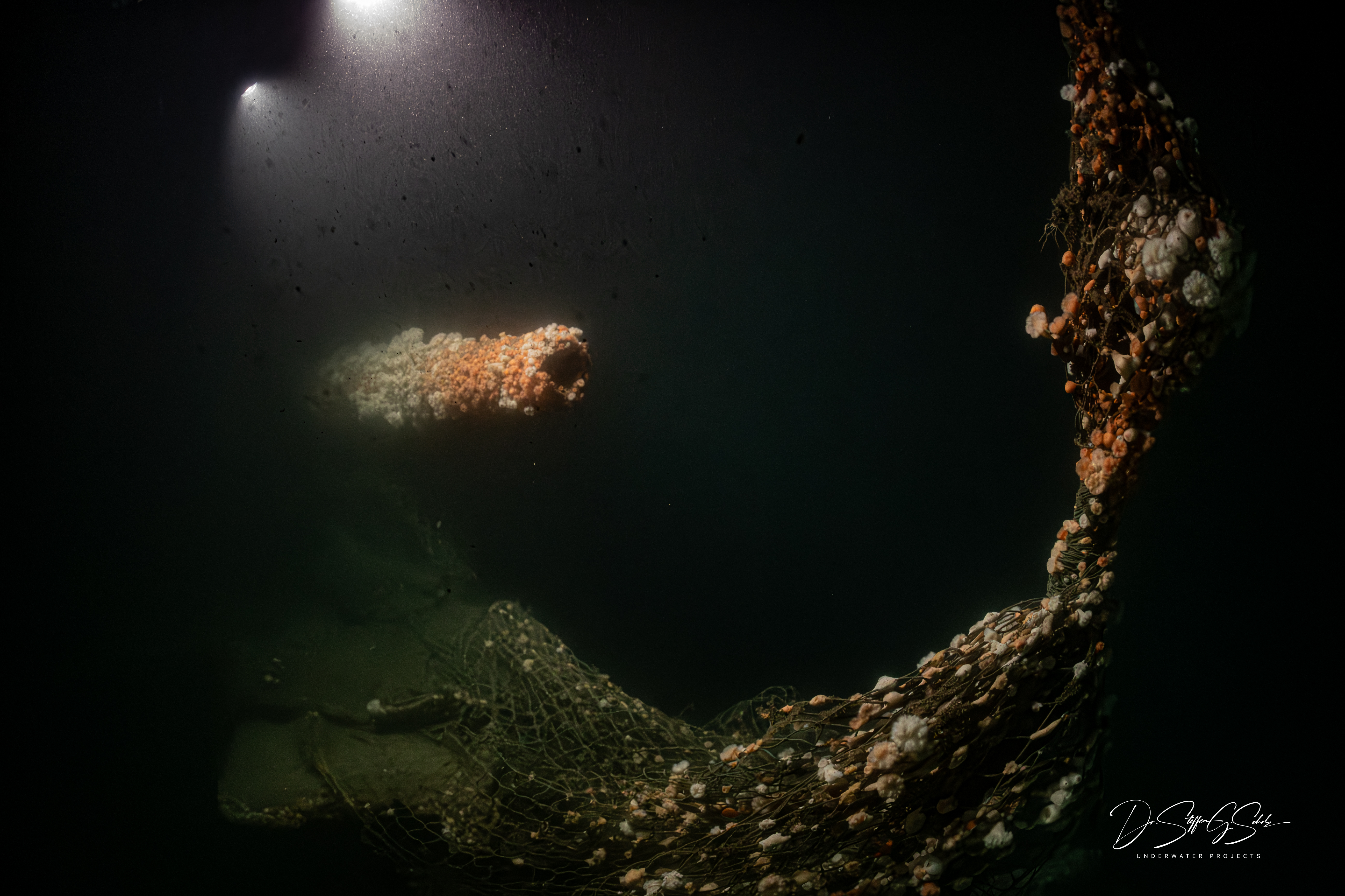 HMS Bayano — 6-inch gun on the wreck