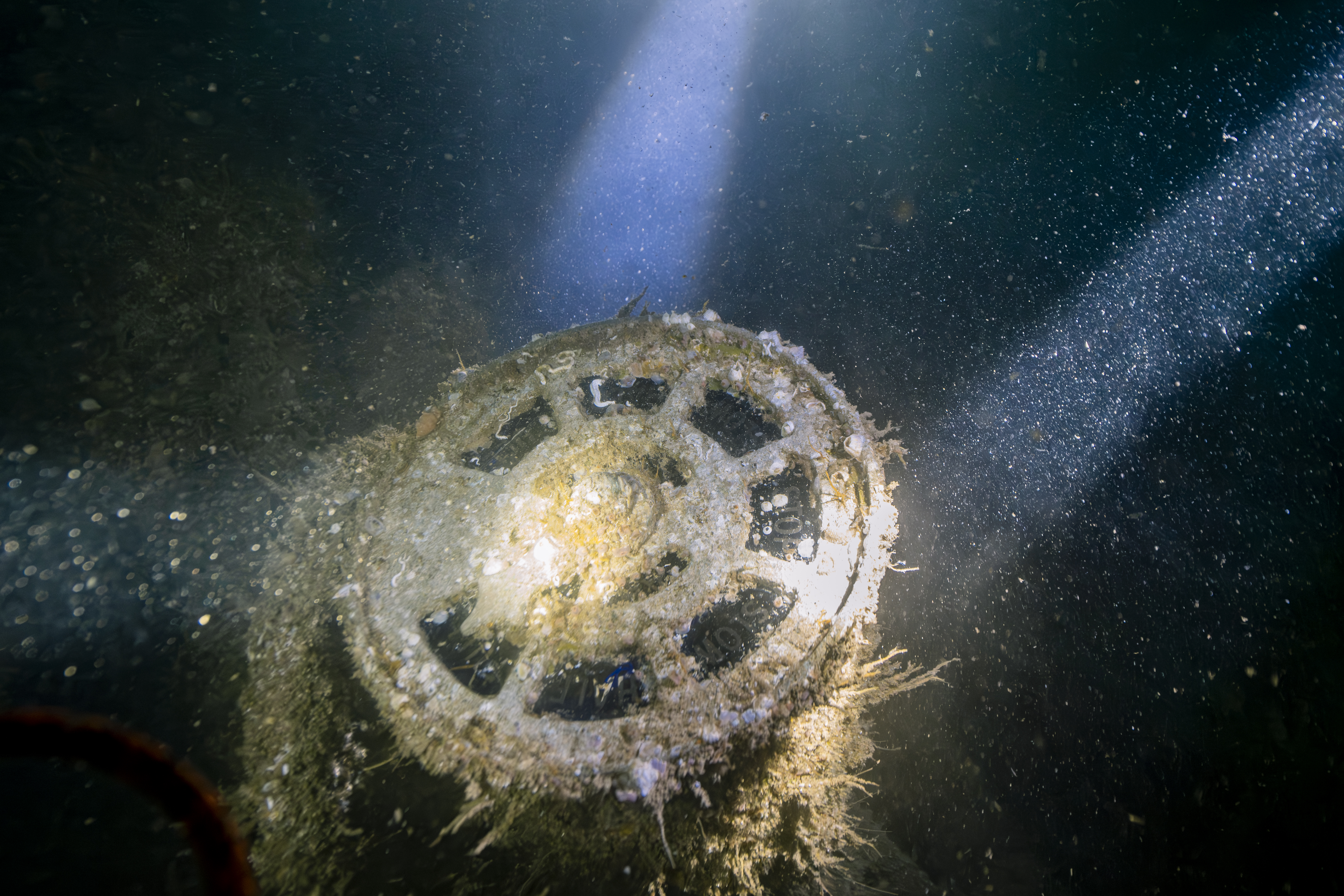 HMS Tiger expedition