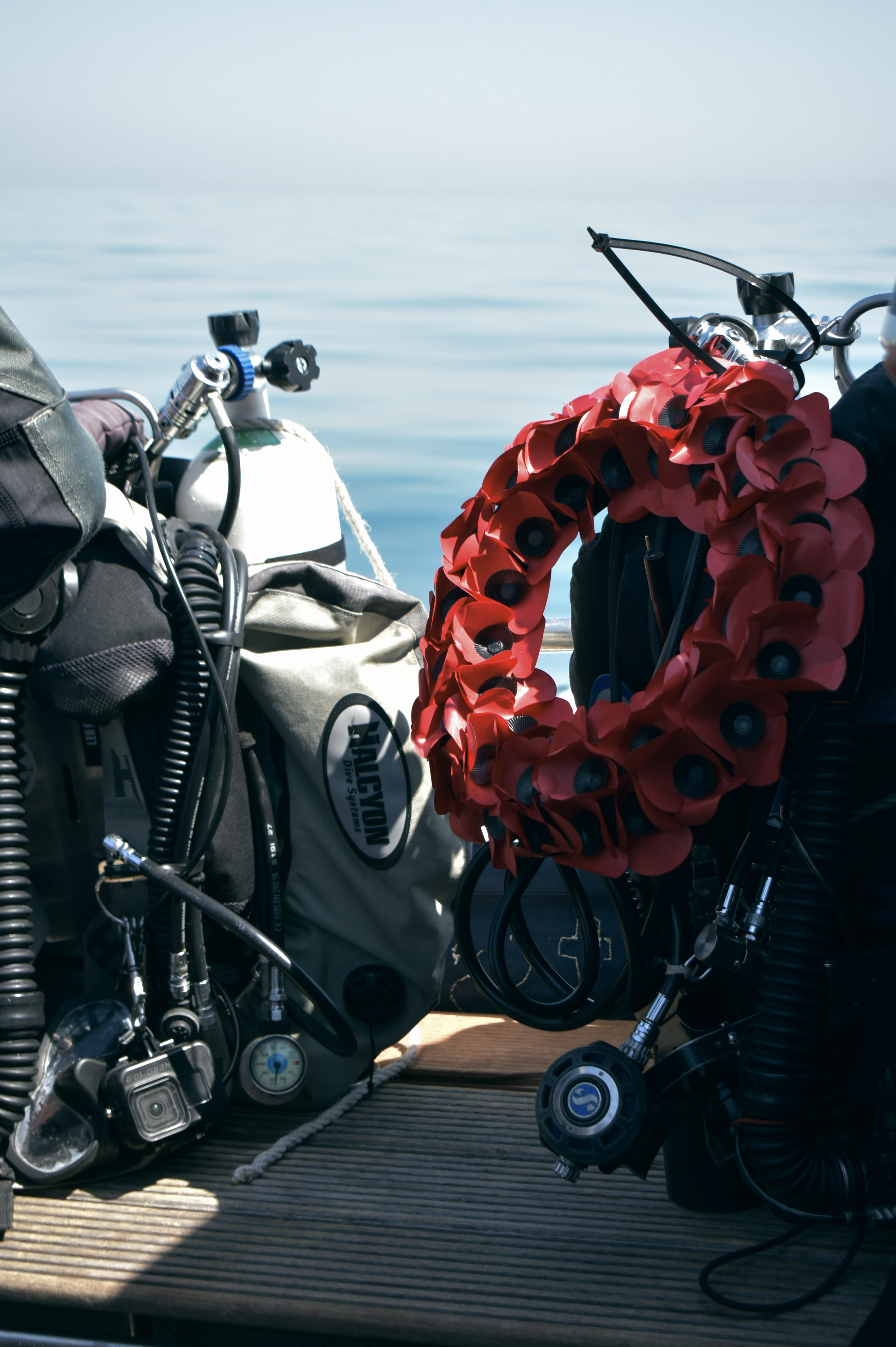 HMS Tiger expedition